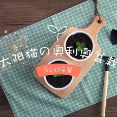奥利奥盆栽